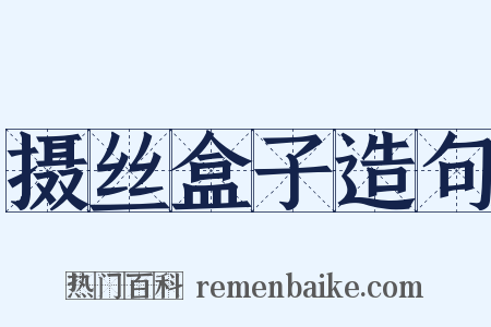 摄丝盒子造句是什么意思的图片